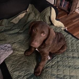 Meet your Posher, Donna